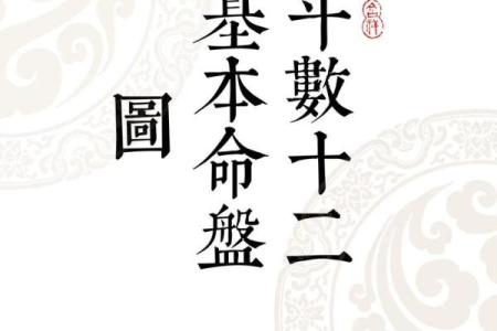庄式紫薇斗数排盘