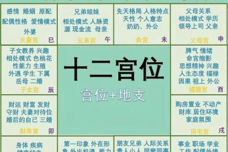 梅花易数紫薇斗数