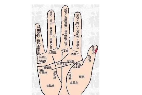 凯帝阿手相算命图解大全06