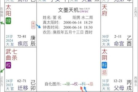 紫薇斗数将星