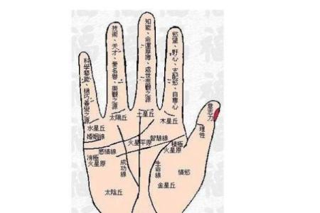 凯帝阿手相算命图解大全06