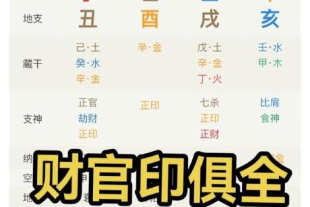 八字财官印全无食伤