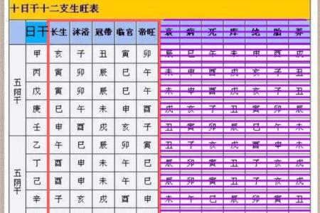 国学八字—身体旺衰及用神判断实例拾取(续三)