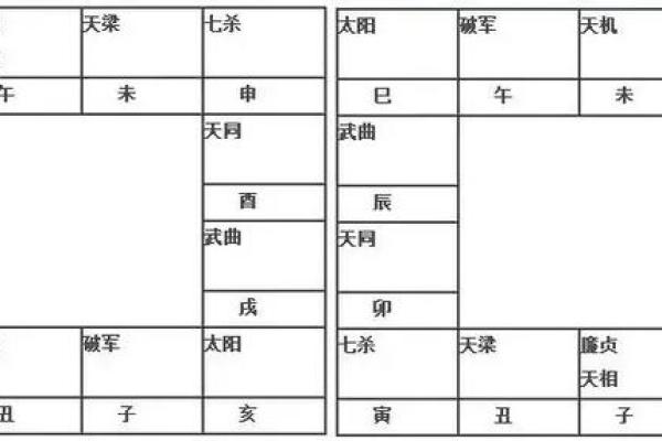 紫薇斗数空白