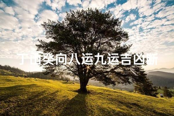 立丁山桂风水
