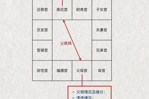算命紫薇斗数免费算命