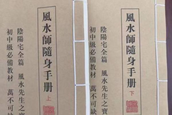 风水学家的攻略