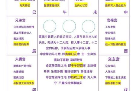 紫微斗数戊级星大小排序 戊子的官星？