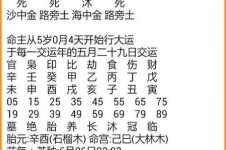 玲珑名字的含义  八字神煞论疾病