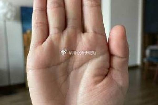 八字和手相