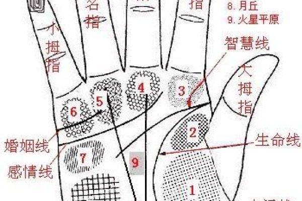 从手纹看姻缘 如何看手纹算命婚姻线？