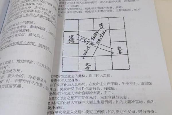 紫薇斗数入门到精通