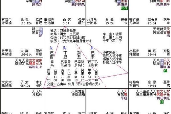 紫薇在官禄宫旺
