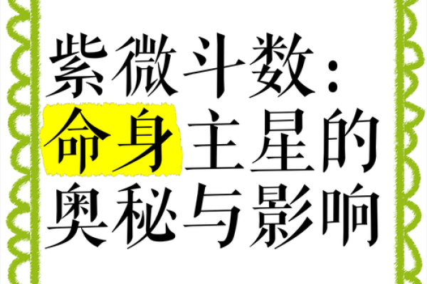 紫薇斗数对财库的影响