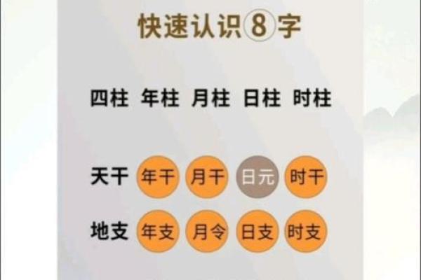 八字入门必背知识