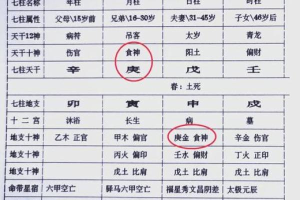 算命的需要学什么专业