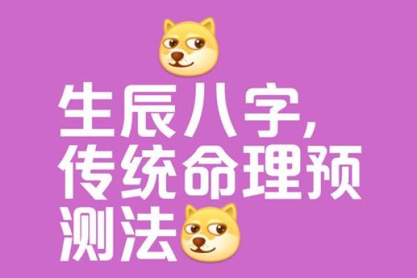 算命的需要学什么专业