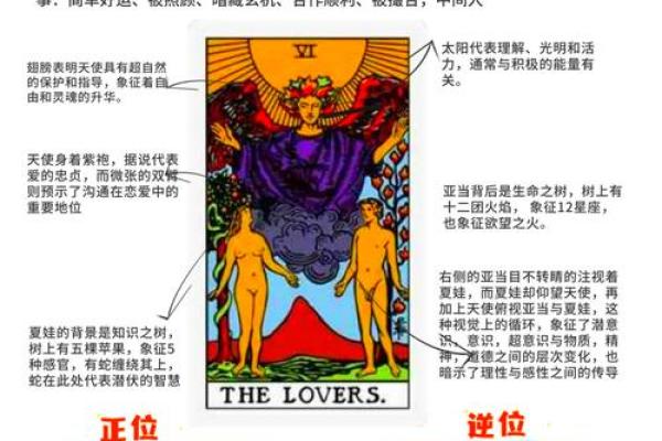塔罗牌测试你不适合与哪种人恋爱？