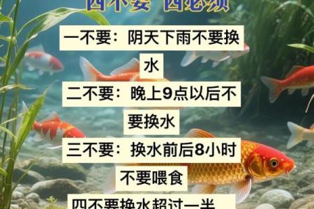 养鱼风水讲究需要注意哪些方面呢