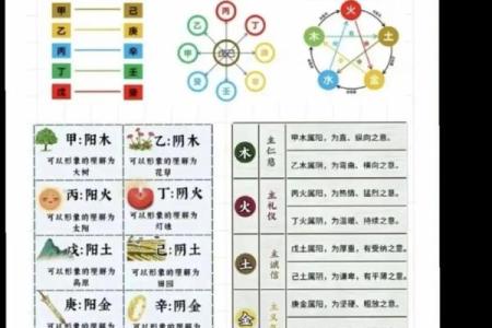 从零开始学八字（廿一）--乙木类象解读