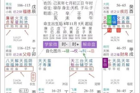 紫微斗数乱国 紫微斗数太准？