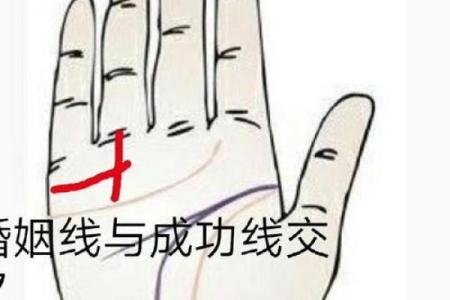 免费拍照看手相算命在线