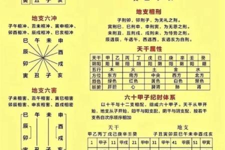 八字基础，干支阴阳差异