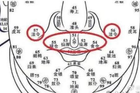 胎记算命胎记的位置与命运