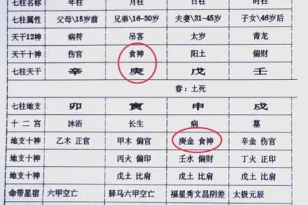 算命的需要学什么专业