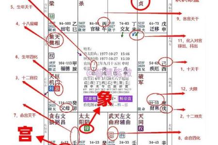 破紫薇斗数排盘
