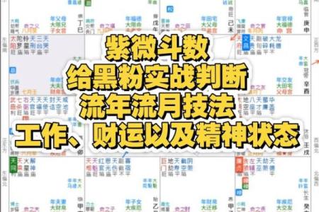 紫薇斗数里在哪里可以看怎么看三婚女人