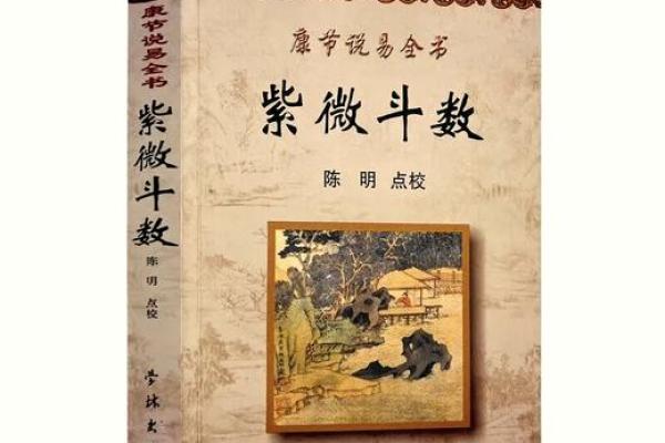 紫薇斗数应用