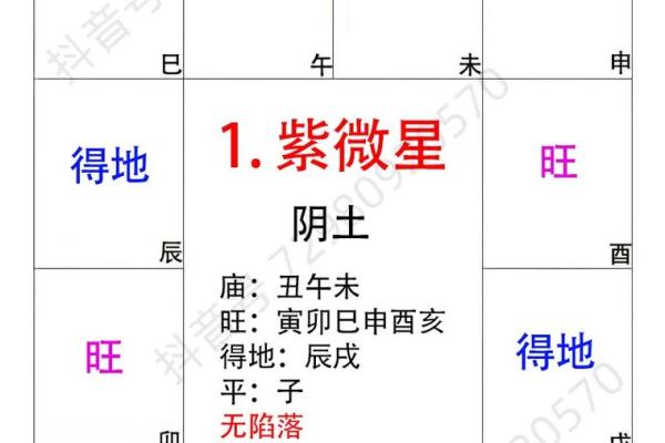 《紫微斗数》：福德宫里这些主星越来越富有