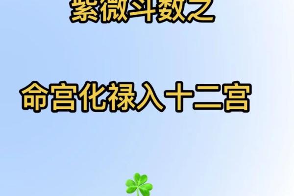 紫薇斗数禄倒