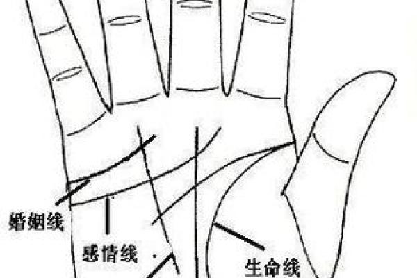 女人手相算命图解