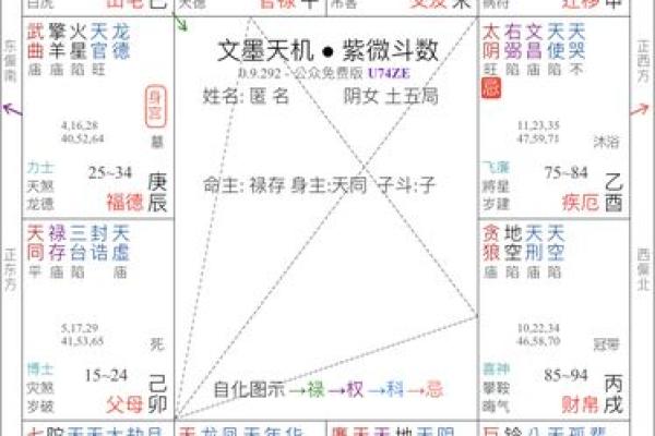 紫薇斗数盘