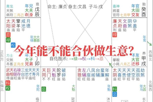 紫薇斗数详解软件
