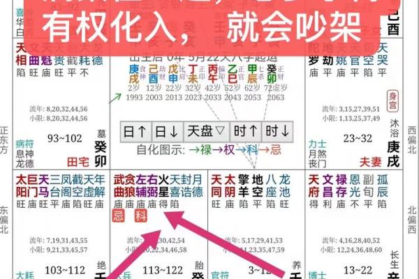 紫薇斗数详解软件