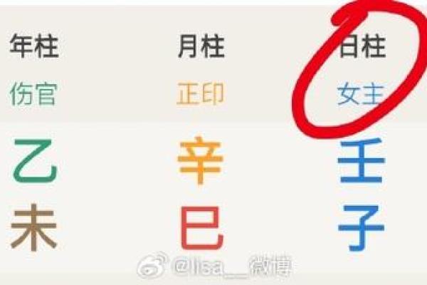 八字私生子