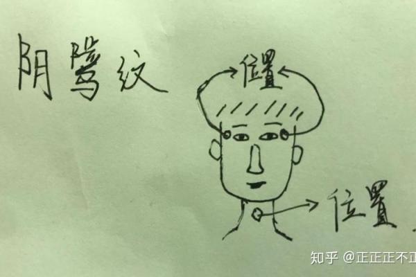 紫薇斗数科名星