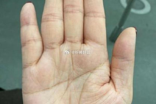 手相假断掌算命图解
