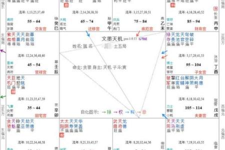 紫薇斗数宫位详解