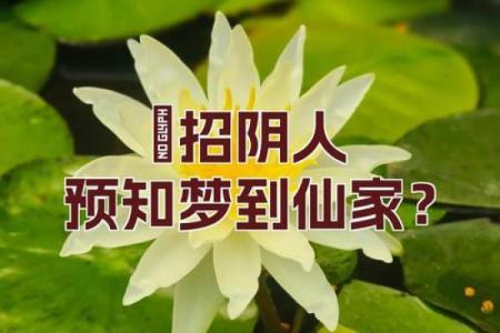 判断怎么样是身上有仙骨的预兆风水