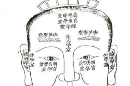 紫薇斗数科名星