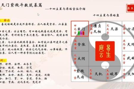 紫薇斗数命宫巨门