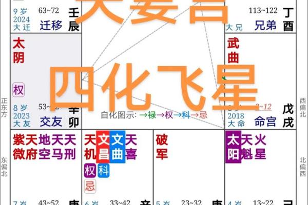 紫微斗数四化飞星在线排盘 紫薇斗数四化飞星？