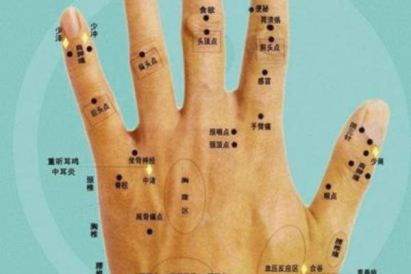女人背部痣相图解算命
