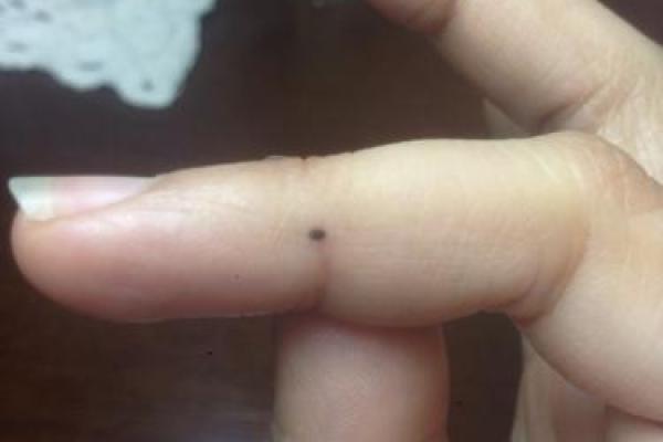 寻求算命高人指点什么
