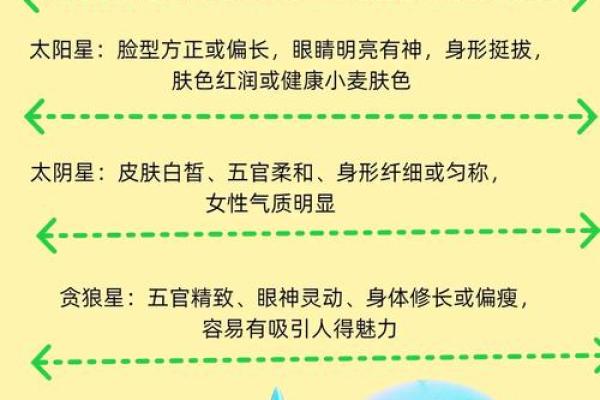 善良的紫薇斗数