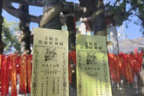灵顺寺第十签解签全解求解